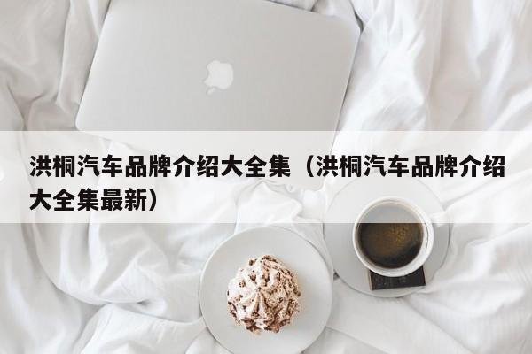 洪桐汽车品牌介绍大全集（洪桐汽车品牌介绍大全集最新）