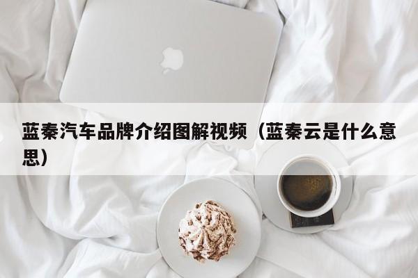 蓝秦汽车品牌介绍图解视频（蓝秦云是什么意思）