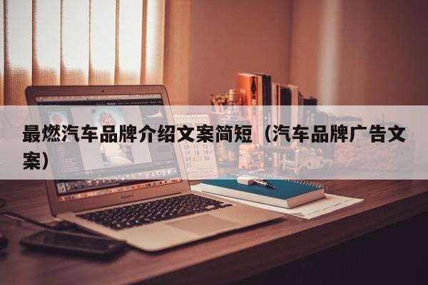 最燃汽车品牌介绍文案简短（汽车品牌广告文案）