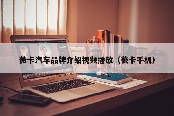 薇卡汽车品牌介绍视频播放（薇卡手机）