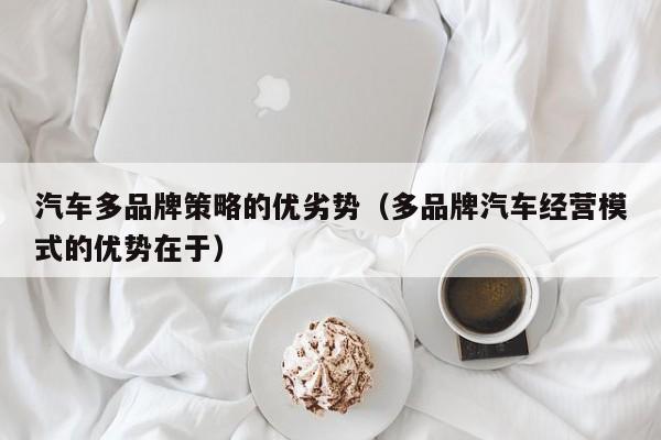 汽车多品牌策略的优劣势（多品牌汽车经营模式的优势在于）