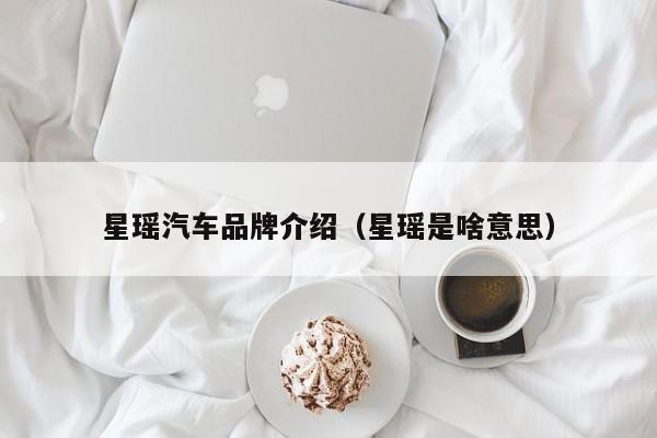 星瑶汽车品牌介绍（星瑶是啥意思）