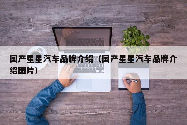 国产星星汽车品牌介绍（国产星星汽车品牌介绍图片）