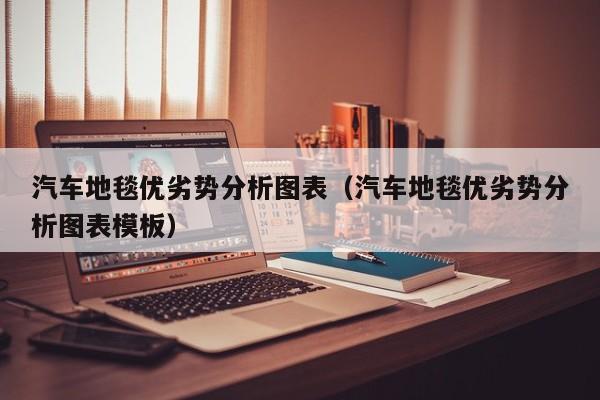 汽车地毯优劣势分析图表（汽车地毯优劣势分析图表模板）