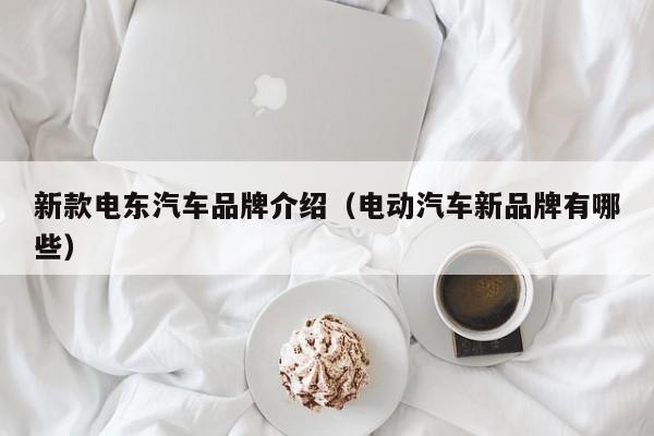 新款电东汽车品牌介绍（电动汽车新品牌有哪些）