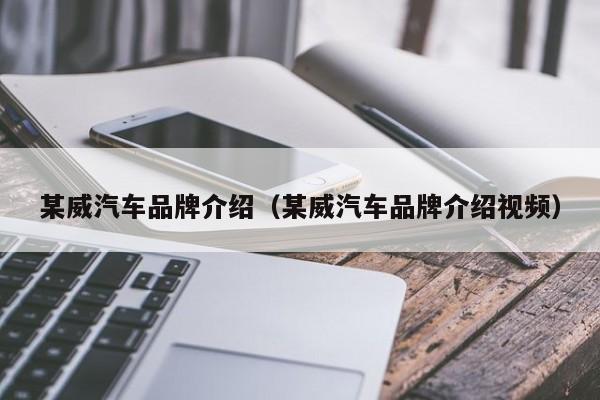 某威汽车品牌介绍（某威汽车品牌介绍视频）