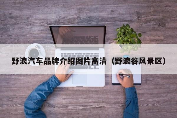 野浪汽车品牌介绍图片高清（野浪谷风景区）