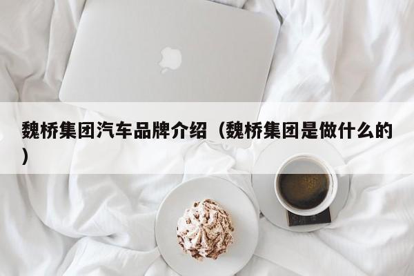 魏桥集团汽车品牌介绍（魏桥集团是做什么的）