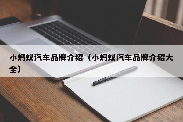 小蚂蚁汽车品牌介绍（小蚂蚁汽车品牌介绍大全）