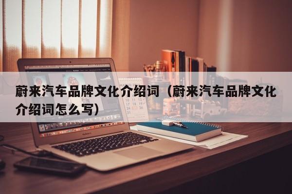 蔚来汽车品牌文化介绍词（蔚来汽车品牌文化介绍词怎么写）