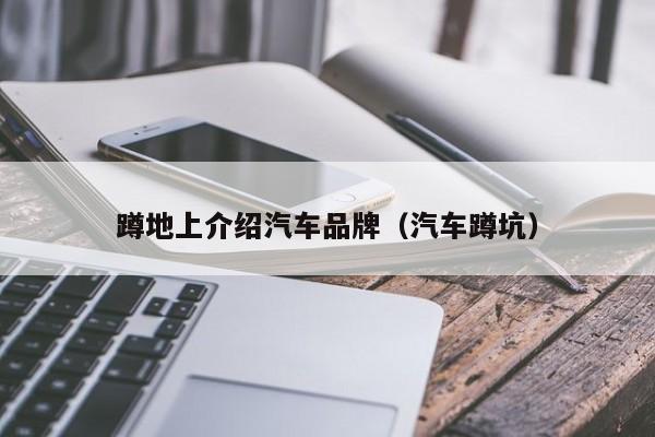 蹲地上介绍汽车品牌（汽车蹲坑）
