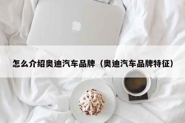 怎么介绍奥迪汽车品牌（奥迪汽车品牌特征）