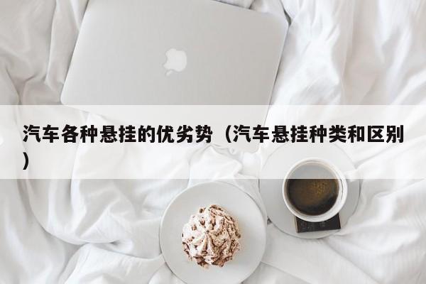 汽车各种悬挂的优劣势（汽车悬挂种类和区别）
