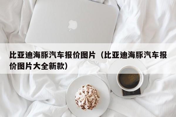 比亚迪海豚汽车报价图片（比亚迪海豚汽车报价图片大全新款）