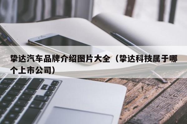 挚达汽车品牌介绍图片大全（挚达科技属于哪个上市公司）