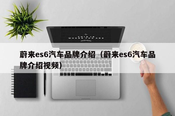 蔚来es6汽车品牌介绍（蔚来es6汽车品牌介绍视频）