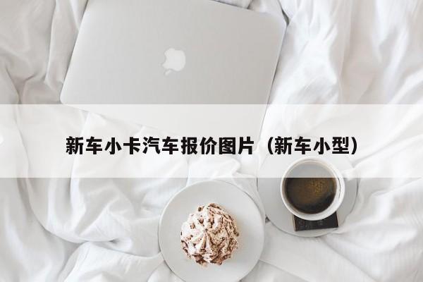 新车小卡汽车报价图片（新车小型）
