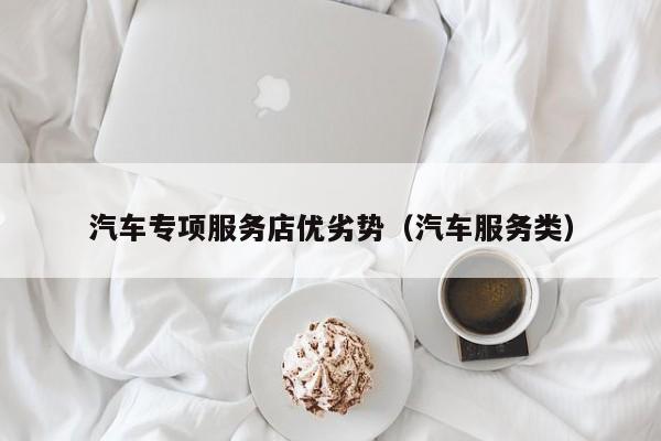 汽车专项服务店优劣势（汽车服务类）