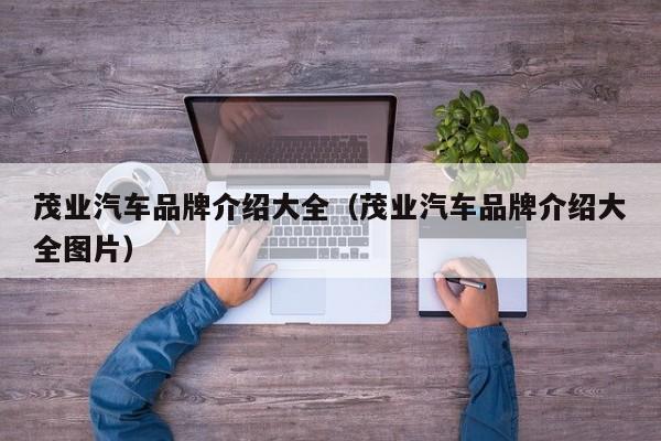 茂业汽车品牌介绍大全（茂业汽车品牌介绍大全图片）