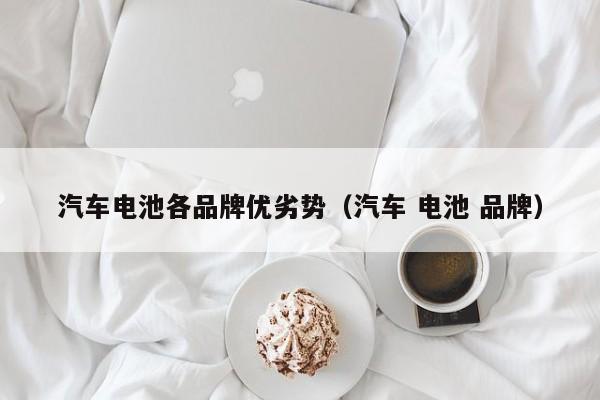 汽车电池各品牌优劣势（汽车 电池 品牌）