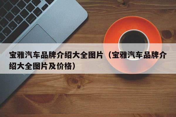 宝雅汽车品牌介绍大全图片（宝雅汽车品牌介绍大全图片及价格）