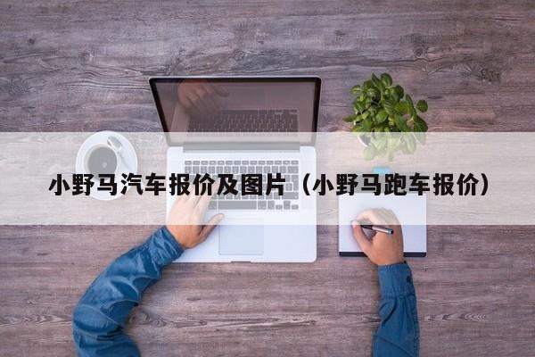 小野马汽车报价及图片（小野马跑车报价）