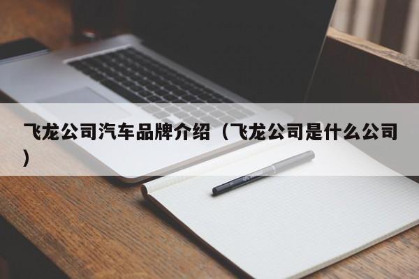 飞龙公司汽车品牌介绍（飞龙公司是什么公司）
