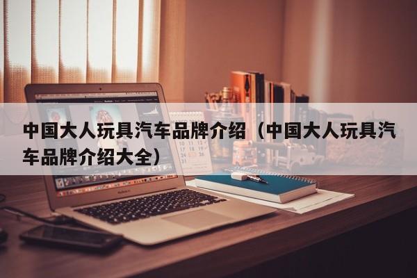 中国大人玩具汽车品牌介绍（中国大人玩具汽车品牌介绍大全）