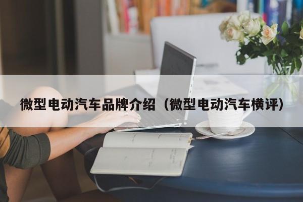 微型电动汽车品牌介绍（微型电动汽车横评）