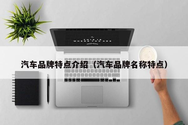 汽车品牌特点介绍（汽车品牌名称特点）