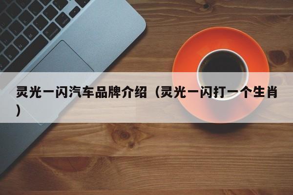 灵光一闪汽车品牌介绍（灵光一闪打一个生肖）