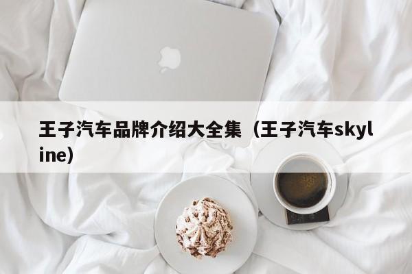 王子汽车品牌介绍大全集（王子汽车skyline）