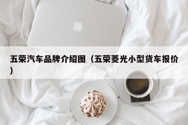 五荣汽车品牌介绍图（五荣菱光小型货车报价）