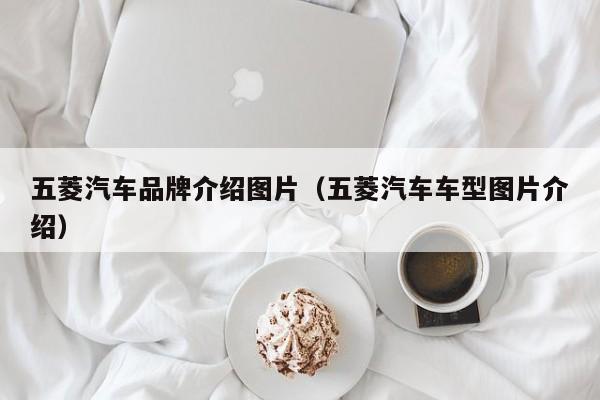五菱汽车品牌介绍图片（五菱汽车车型图片介绍）