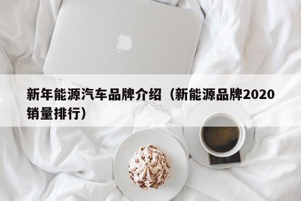 新年能源汽车品牌介绍（新能源品牌2020销量排行）