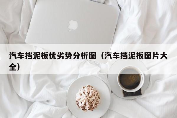 汽车挡泥板优劣势分析图（汽车挡泥板图片大全）