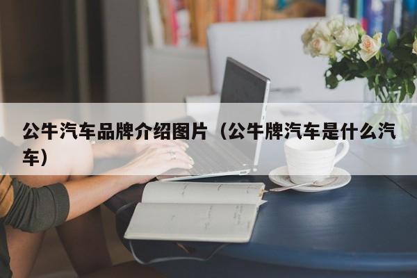 公牛汽车品牌介绍图片（公牛牌汽车是什么汽车）