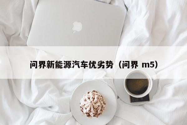 问界新能源汽车优劣势（问界 m5）