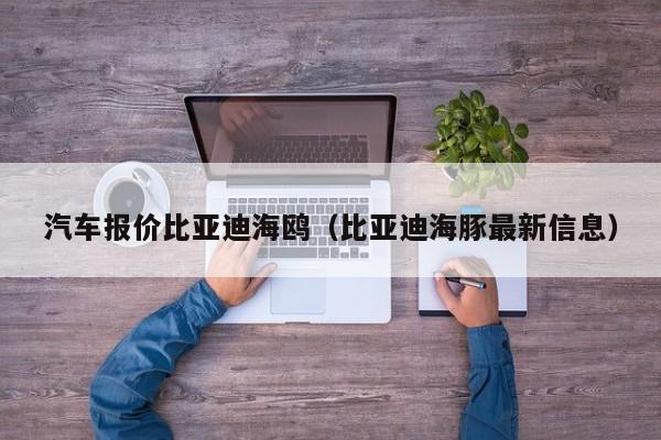 汽车报价比亚迪海鸥（比亚迪海豚最新信息）
