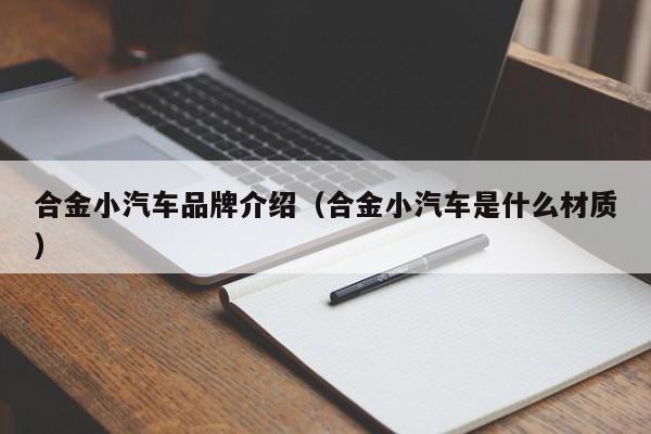 合金小汽车品牌介绍（合金小汽车是什么材质）