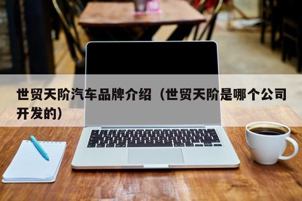 世贸天阶汽车品牌介绍（世贸天阶是哪个公司开发的）