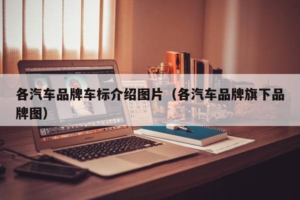 各汽车品牌车标介绍图片（各汽车品牌旗下品牌图）