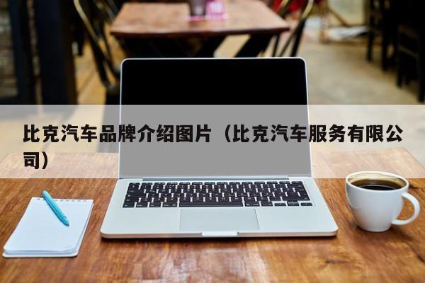 比克汽车品牌介绍图片（比克汽车服务有限公司）