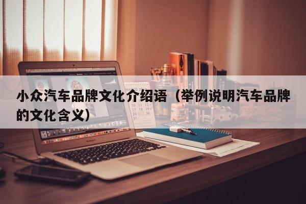 小众汽车品牌文化介绍语（举例说明汽车品牌的文化含义）