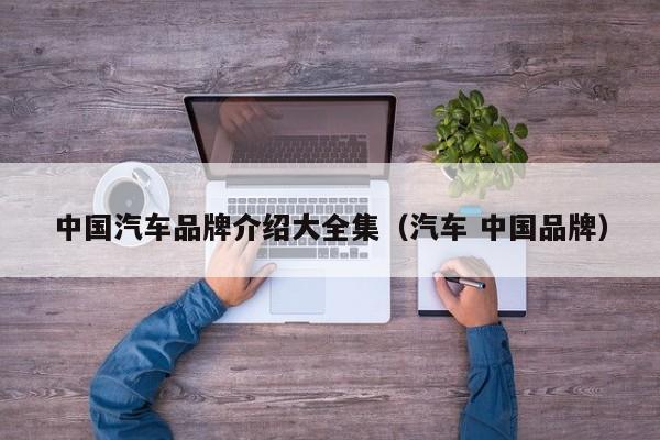 中国汽车品牌介绍大全集（汽车 中国品牌）