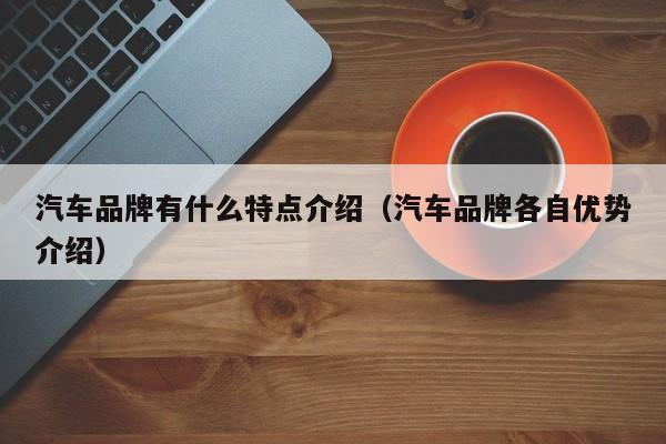 汽车品牌有什么特点介绍（汽车品牌各自优势介绍）