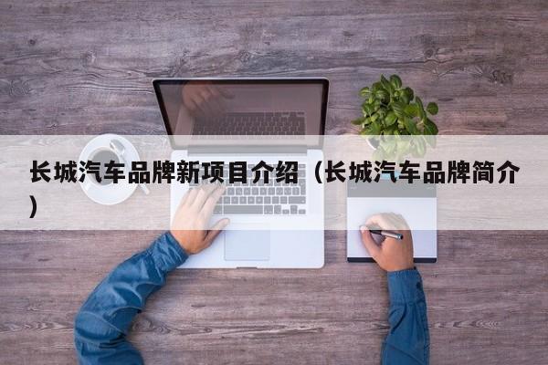 长城汽车品牌新项目介绍（长城汽车品牌简介）