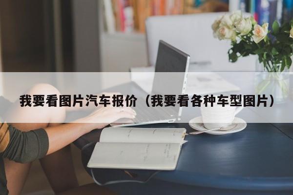 我要看图片汽车报价（我要看各种车型图片）