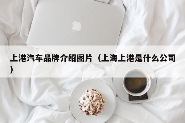 上港汽车品牌介绍图片（上海上港是什么公司）