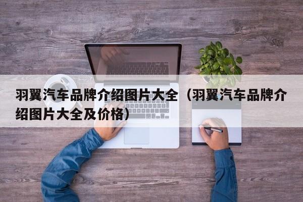 羽翼汽车品牌介绍图片大全（羽翼汽车品牌介绍图片大全及价格）